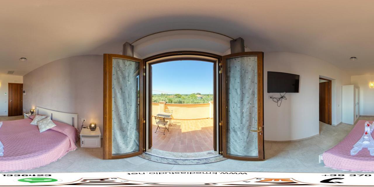 Agriturismo Il Vecchio Olivo Castagneto Carducci Eksteriør billede
