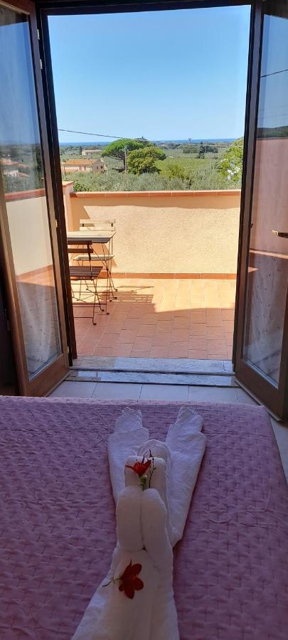 Agriturismo Il Vecchio Olivo Castagneto Carducci Eksteriør billede