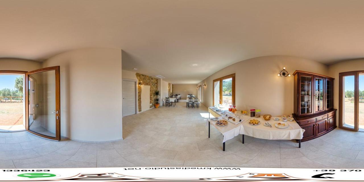 Agriturismo Il Vecchio Olivo Castagneto Carducci Eksteriør billede