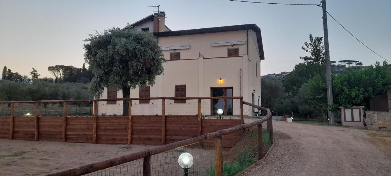 Agriturismo Il Vecchio Olivo Castagneto Carducci Eksteriør billede