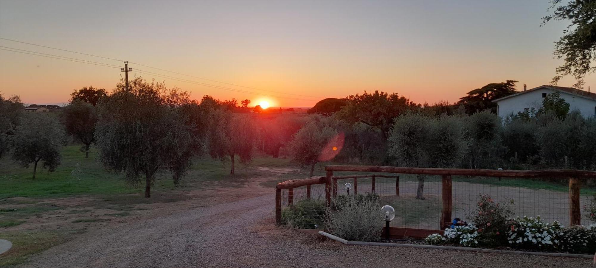 Agriturismo Il Vecchio Olivo Castagneto Carducci Eksteriør billede